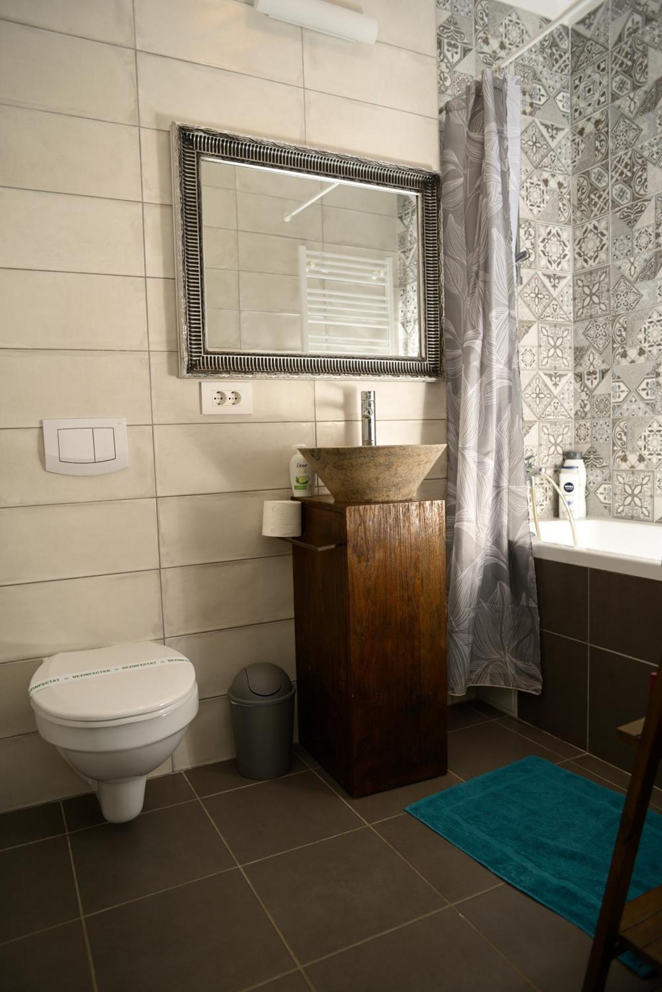 Mirvana Apartments Metheor Executive Suite Timisoara Exterior foto